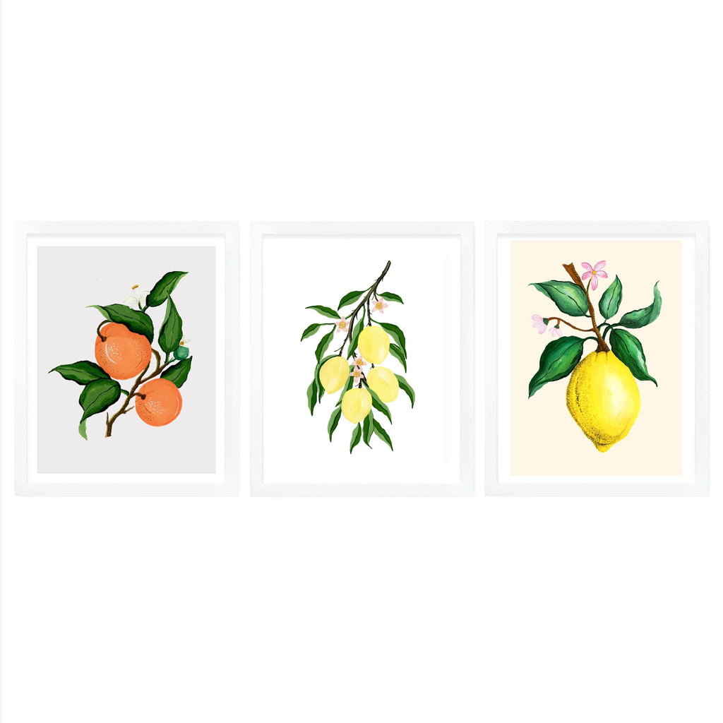 Citrus Bunch Framed Wall Art (Set of 3 - Mandarin, Lemon Bunch, Lemon) - The Spring Palette