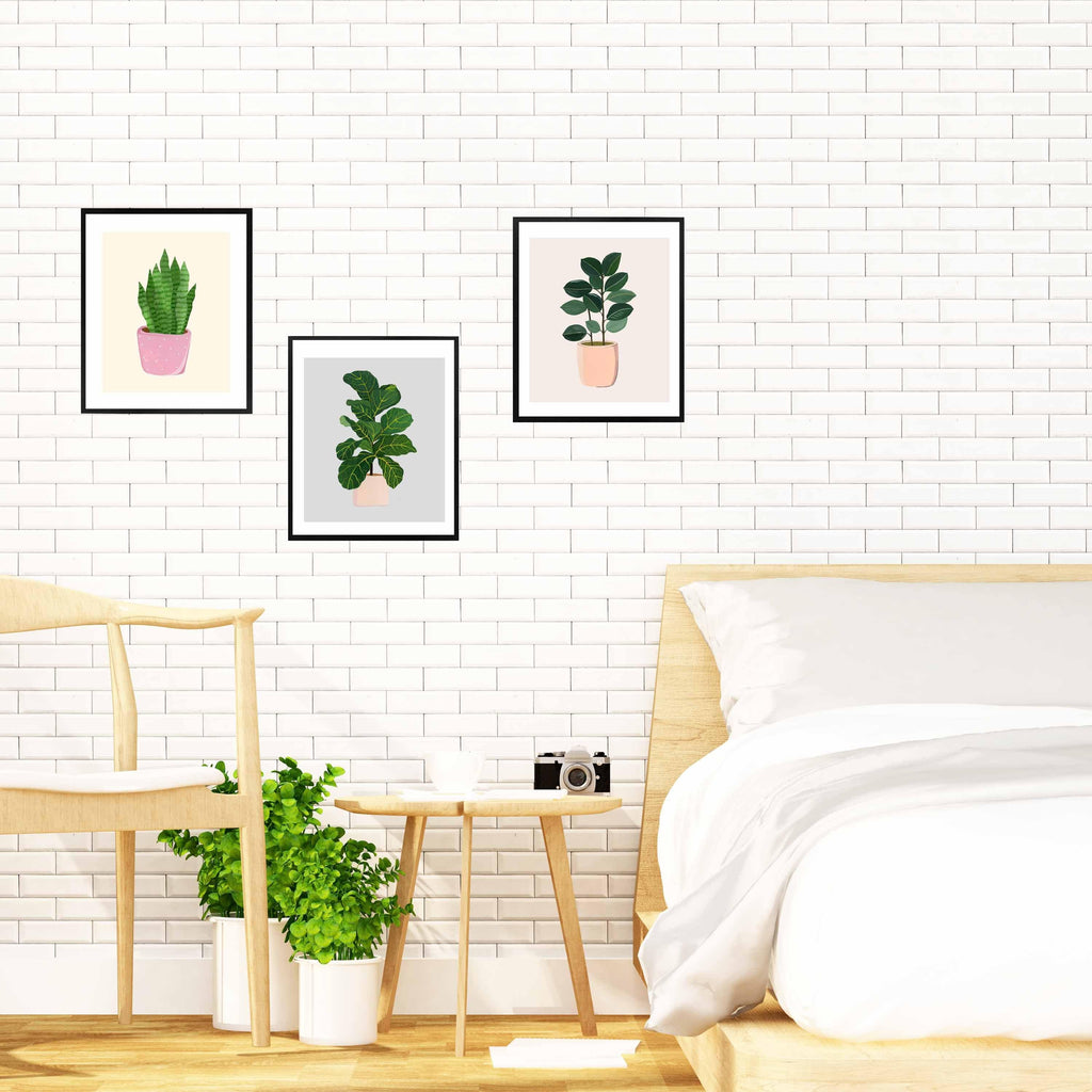 House Plants Framed Wall Art (Set of 3 - Fiddle-fig, Rubber, Snake) - The Spring Palette