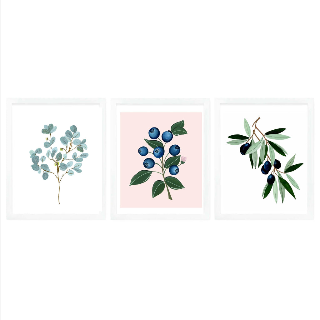 Modern Botanicals Framed Wall Art (Set of 3 - Eucalyptus, Blueberry, Olive) - The Spring Palette