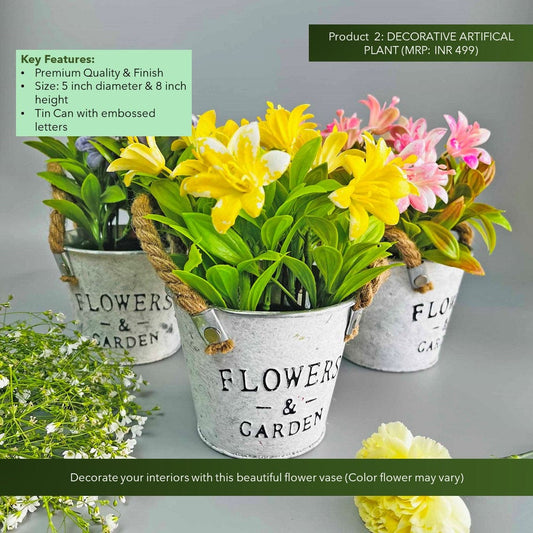 The Spring Palette Gift Say it with flowers Gift Hamper